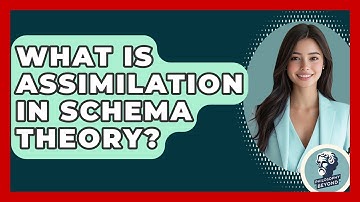 What Is Assimilation In Schema Theory? - Philosophy Beyond