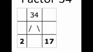 Factor A 34