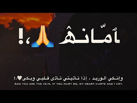 حالات واتس اغنية الشامي ليلى ليلى تصميم انستا