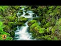 🔴 Relaxing Music 24/7, Stress Relief Music, Sleep Music, Meditation Music, Study, Flowing River