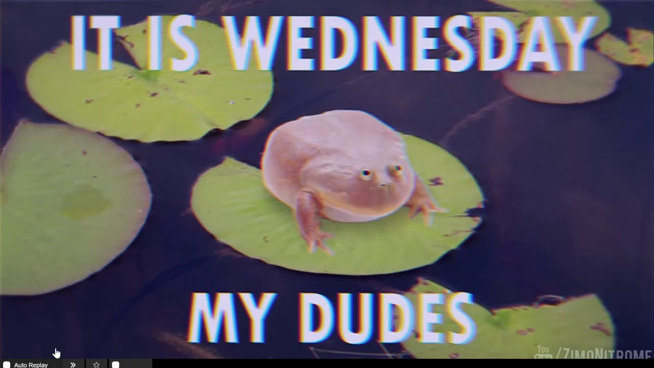 It is Wednesday My Dudes Frog YouTube