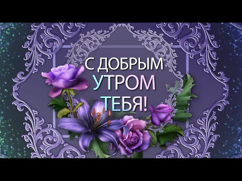 ✅С добрым утром тебя!✅Удачного позитивного дня!