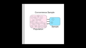 Convenience Sampling Method