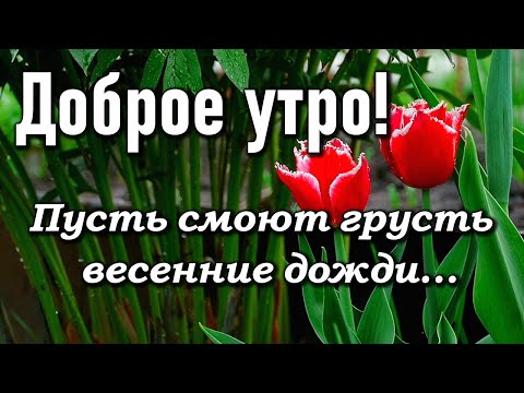 Доброе утро! Пусть этот весенний дождь смоет все печали и неприятности... Открытка С Добрым утром