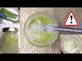 THE WRONG WAY TO MAKE ALOE VERA OIL FOR EXTREME HAIR GROWTH | DANGEROUS AND NOT EFFICIENT