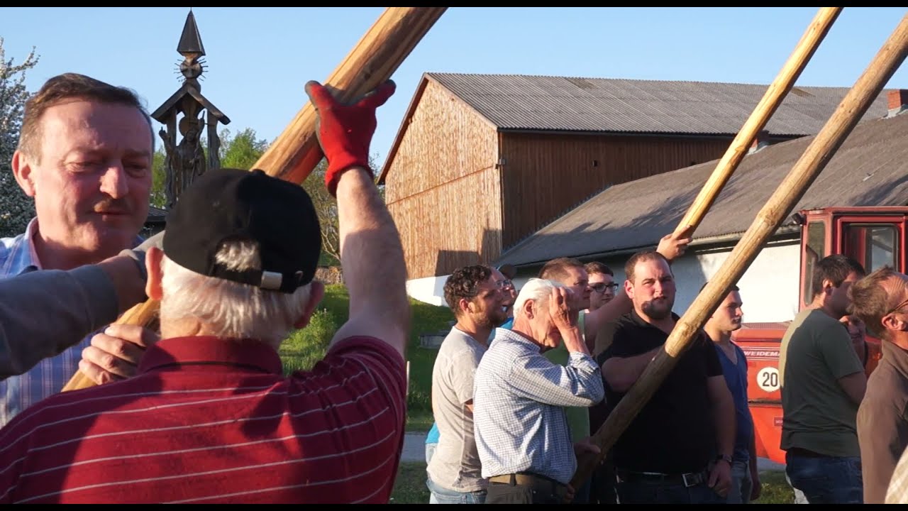 Maibaumaufstellen in Harmannstein/Waldviertel/NÖ
