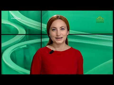 ЧЕТВЕРТЬ ЧАСА. СВИДЕТЕЛЬСТВО