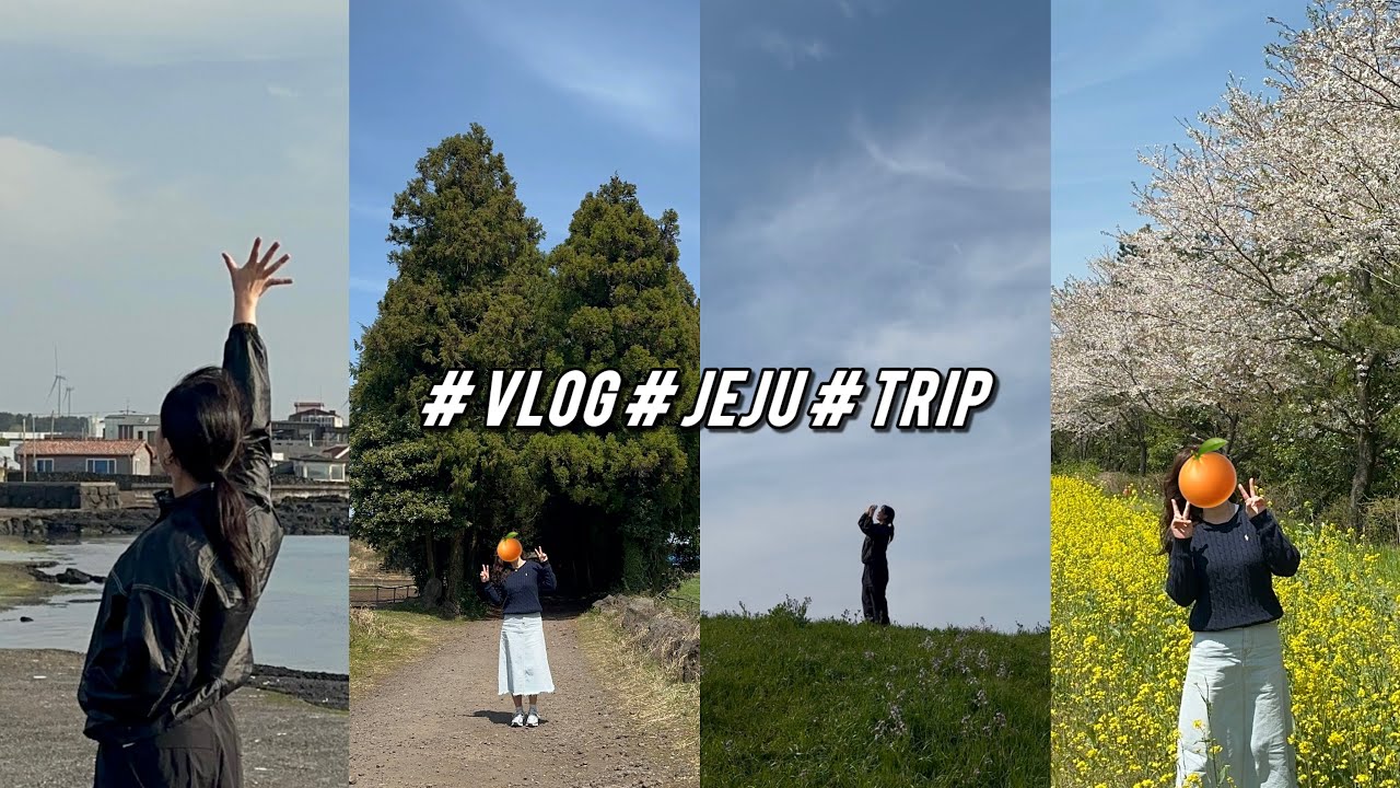 엄마랑 제주 여행 브이로그🌸🍊| 하루만에 맛집&사진명소 10군데 알차게 뿌시는 제주 동쪽 루트 대공개