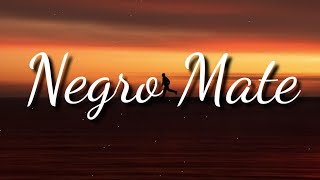 Micro TDH - NEGRO MATE (Letras/Lyrics)