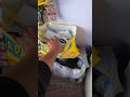 Maggi packaging 🤭🤭 59 #shorts #ytshorts #vermajieveryday