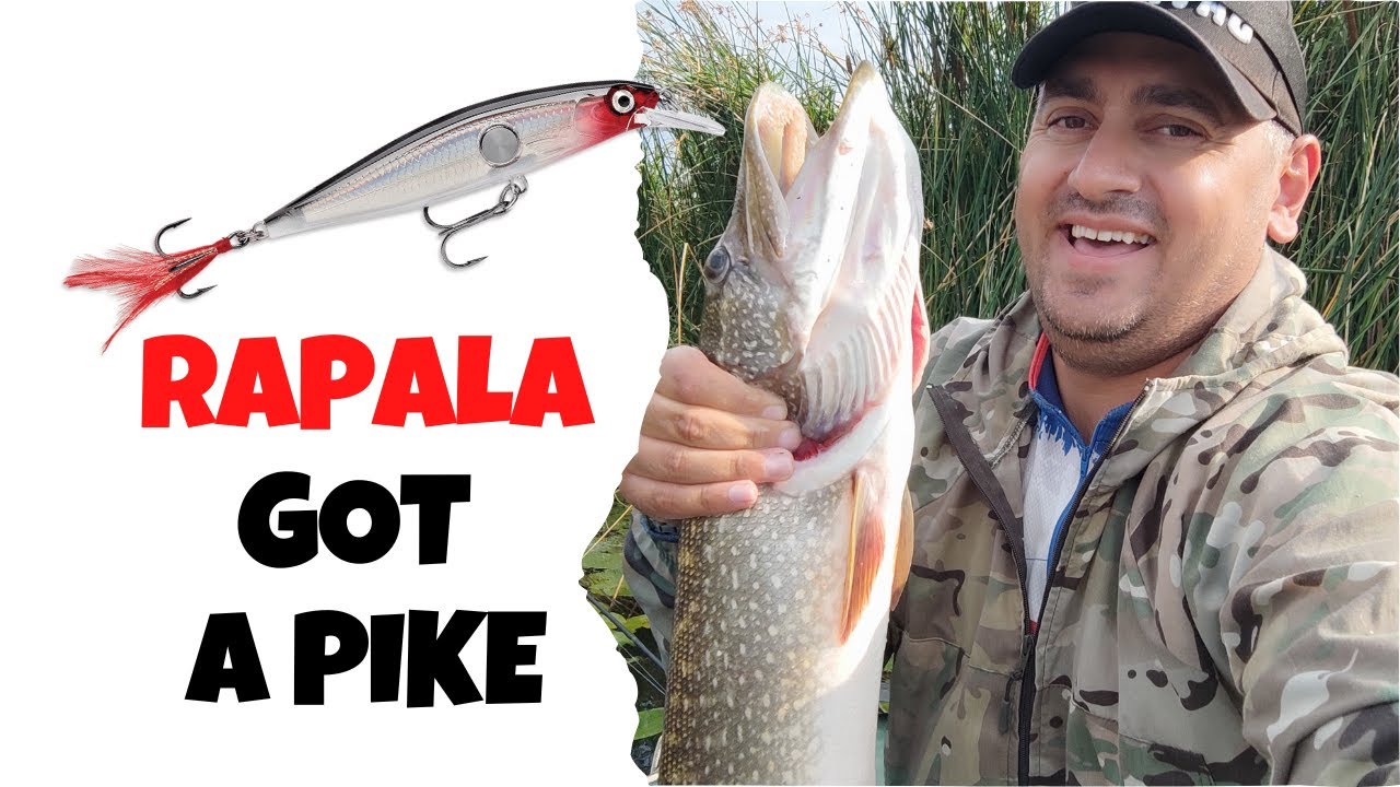 Rapala Clackin Minnow поймал крупную щуку на Ишиме !