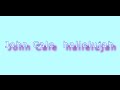 John Cale – hallelujah (instrumental cover)