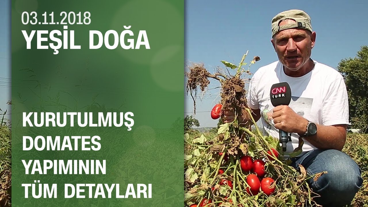 Kurutulmuş domates yapımının tüm detayları - Yeşil Doğa 03.11.2018 Cumartesi