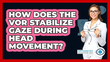 How Does The VOR Stabilize Gaze During Head Movement?