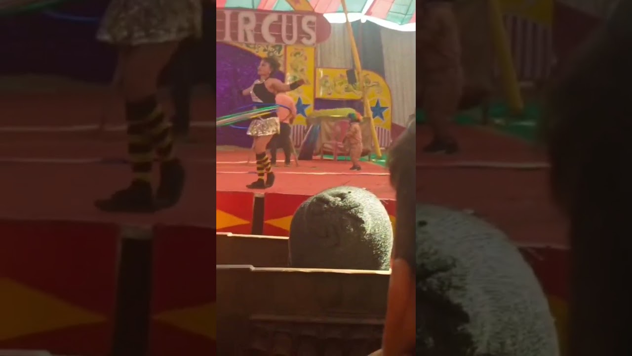 Circus video 📹 🤡🎪🃏#trip#14.2.26 #