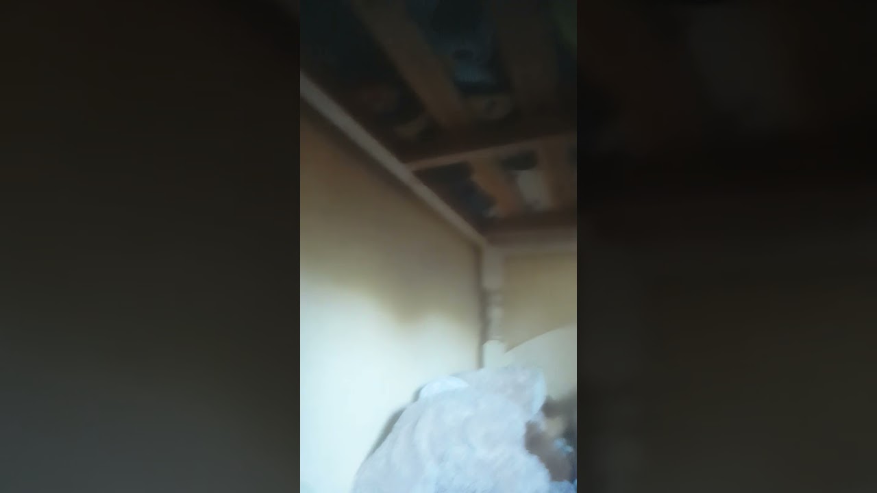 13 de febrero de 2026