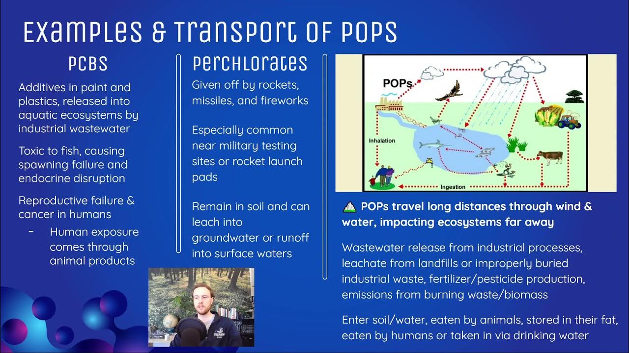 AP Environmental Science 8.7 Persistent Organic Pollutants POPs YouTube