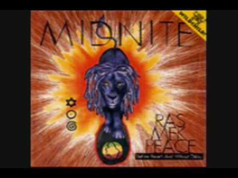 Kingdom Trees - Midnite 