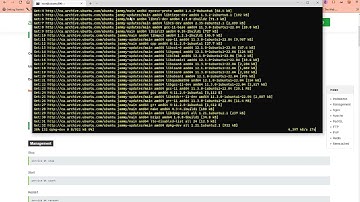 Installing Aapanel on your Ubuntu Web Server.