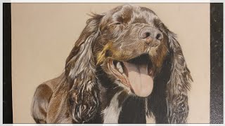 Drawing a happy doggo