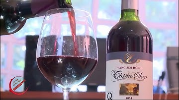 VANG SIM RỪNG - VANG VIỆT CHẤT LƯỢNG