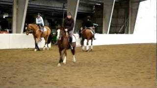 Vermont Ruby Fox- 11/4/2011