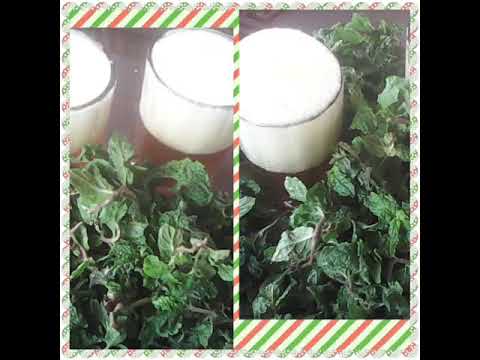 نغمة شاي العنبر