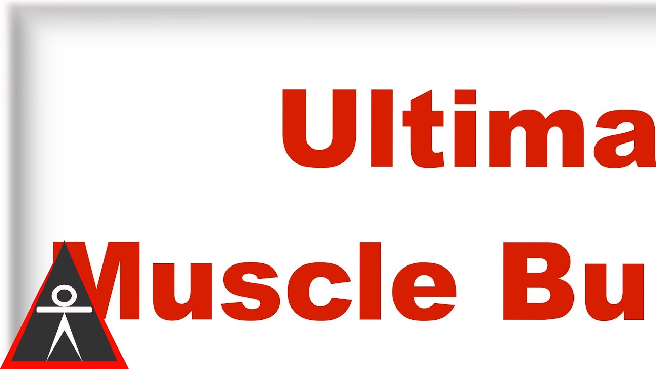 calisthenics workout program for beginners The Unlimited Potential of Calisthenics