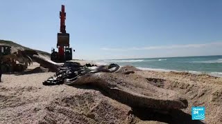 Marée noire en Israël : le littoral lourdement touché, le nettoyage est en cours