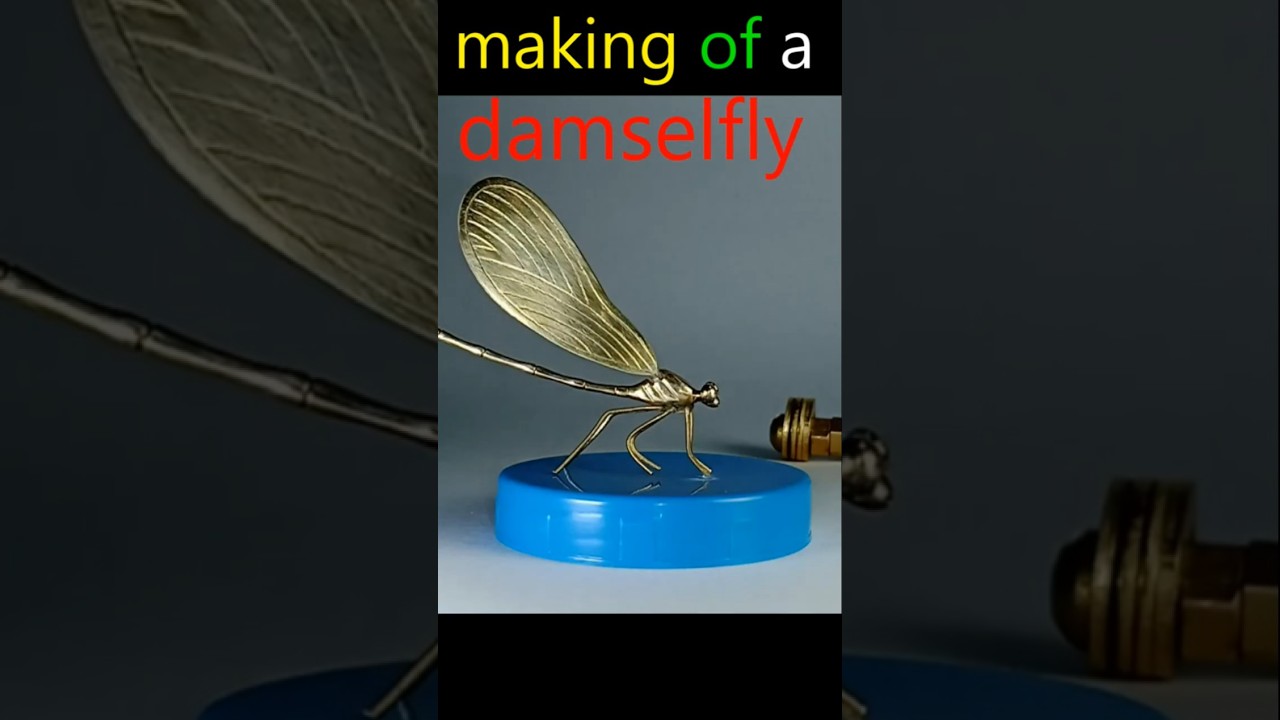 nut&bolt turn into a beautiful damselfly