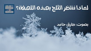 لماذا ننتظر الثلج بهذه اللهفة؟ | طارق حامد