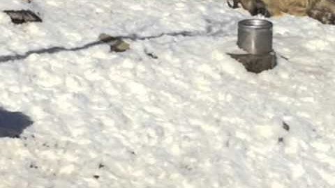 Zach Phillips "The Heisenberg Awards" [The Closest Exit May Be Behind You]