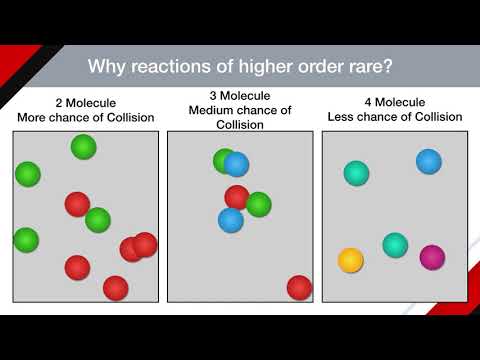 Video: Kāpēc augstākas pakāpes reakcijas ir reti sastopamas?