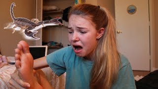 i got stung by a scorpion