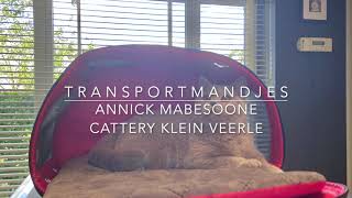 Wat is het ideale transportmandje? by Nicki's Kitty's 493 views 3 years ago 2 minutes, 22 seconds