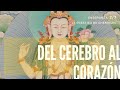 Del cerebro al corazón - 2/7 - La práctica de Chenrezig - "Visualizar la empatía"