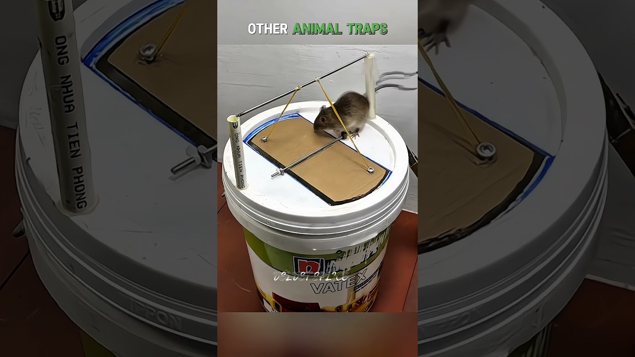 Other Animal Traps Vs The Last One