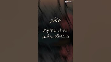 ايات من سورة ياسين بصوت الشيخ عبد الباسط عبد الصمد.
