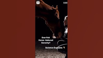 It’s a sensation equestrians know well: the profound peace from the presence of horses 🕊🐴👇