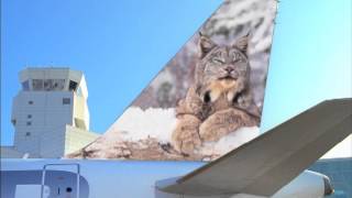 Frontier Airlines - Secret