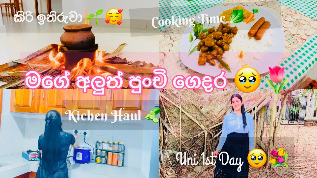 මගේ පුංචි ගෙදර🌷🏡️/🍀Uni 1st day එක🥺🤍/මගෙ මගෙ අලුත් ජීවිතේ පටන් ගත්තෙ මෙහෙමයි💐/Living Alone Diaries🍫🍜