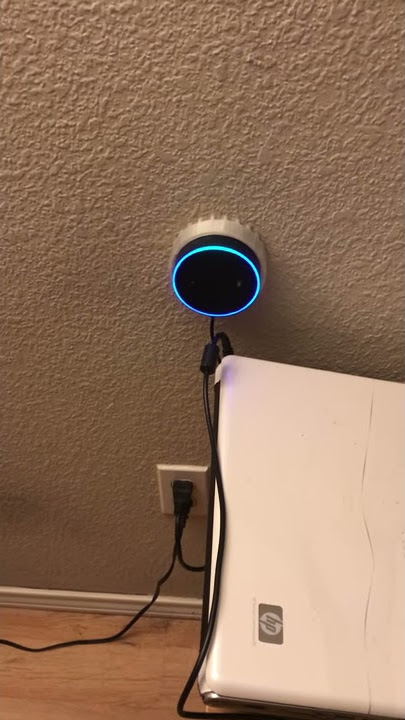 Amazon Alexa/Echo Simon Says Get The F### Up!