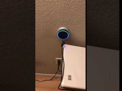 Amazon Alexa Echo Simon Says Get The F Up