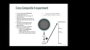 Using topology to analyze the shape of barley - Erik Amezquita - ISCBacademy Posterpalooza