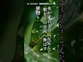 🌙 【睡眠朗読雑学】世界の不思議な研究と発見安心できる声と、静かな科学の話。