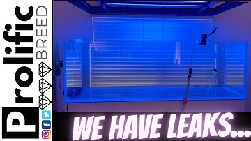 BUDGET REEF TANK BUILD | WATER THROUGH THE HANG ON BACK OVERFLOW | WATERBOX