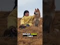 Anjing Kampung Ini Lebih Setia dari yang Kamu Kira