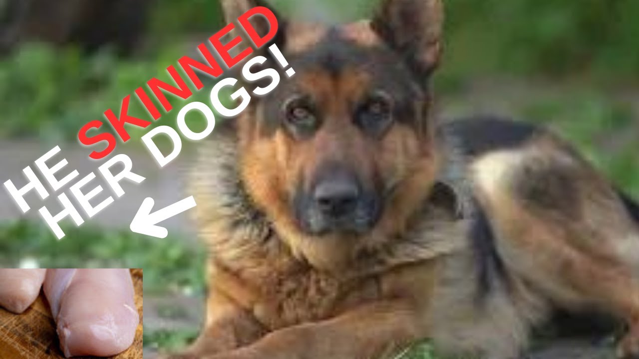 Hunter SHOOTS & SKINS 2 Pet DOGS! - YouTube
