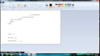 Psych 306 Biopsychology: Chapter 6 - Cortical Mechanisms of Vision and Conscious Awareness