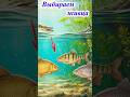Лучший живец на щуку  #assistancetv #рыбалка #fishing #щука #щуканаживца #напоплавок